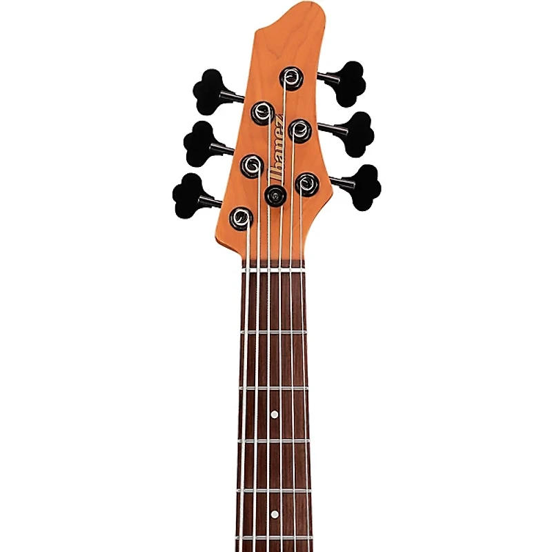 Ibanez Mode MDM1606 6-String Electric Bass Guitar - Natural Mocha Low Gloss