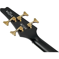 Ibanez Iceman ICB620 Electric Bass Guitar - Black Flat