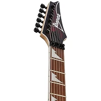 Ibanez RG Standard RG470DXW Electric Guitar - Wine Red Frozen Matte