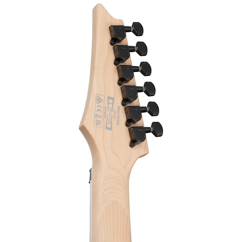 Ibanez RG Standard RG470DXW Electric Guitar - Wine Red Frozen Matte