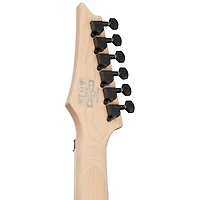 Ibanez RG Standard RG470DXW Electric Guitar - Wine Red Frozen Matte