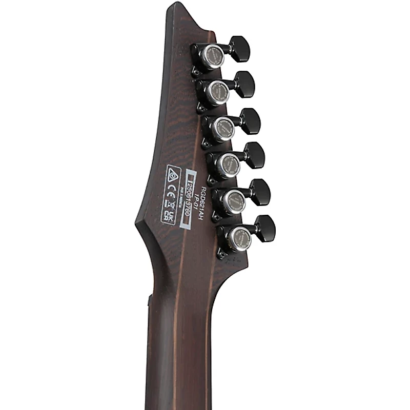 Ibanez RGD621AH Electric Guitar - Midnight Shade Flat