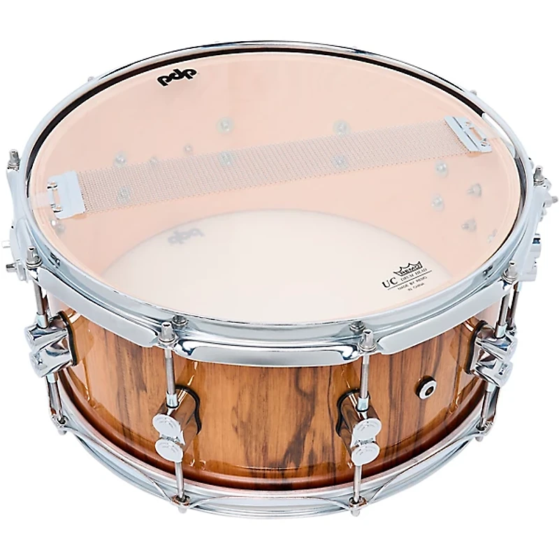 PDP by DW Concept Maple Exotic Snare Drum - 14 x 6.5 in. Black Limba