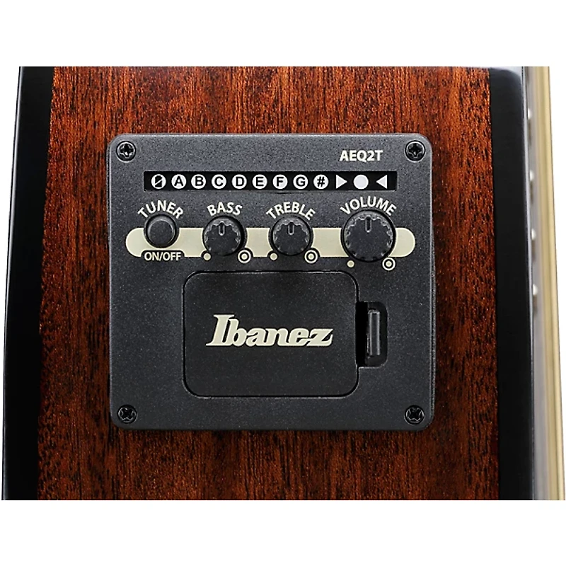 Ibanez AEWC16QA Auditorium Acoustic-Electric Guitar -