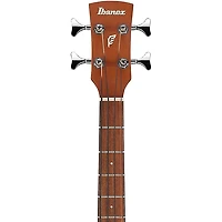 Ibanez PCB54E Grand Concert Acoustic-Electric Bass Guitar - Open Pore Natural