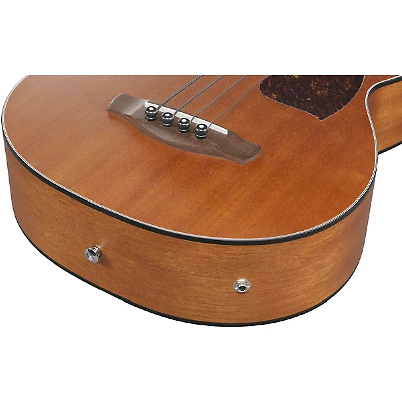 Ibanez PCB54E Grand Concert Acoustic-Electric Bass Guitar - Open Pore Natural