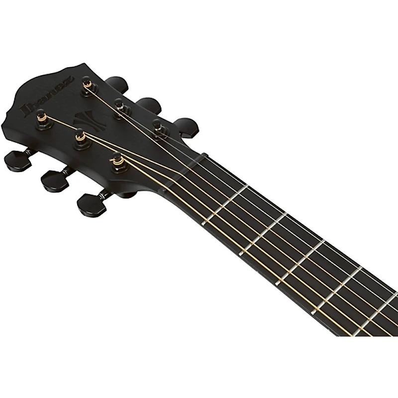 Ibanez AEG621 Auditorium Acoustic-Electric Guitar - Black Out