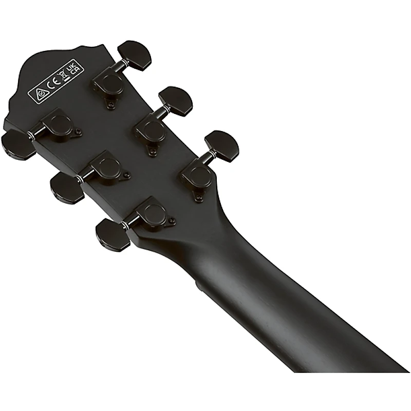 Ibanez AEG621 Auditorium Acoustic-Electric Guitar - Black Out