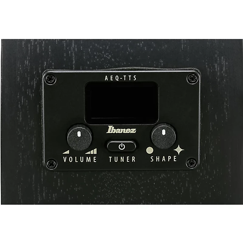 Ibanez AEG621 Auditorium Acoustic-Electric Guitar - Black Out