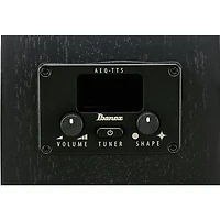 Ibanez AEG621 Auditorium Acoustic-Electric Guitar - Black Out