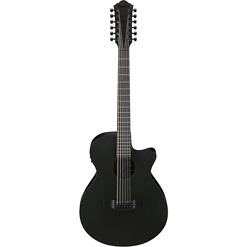 Ibanez AEG1221 Auditorium 12-String Acoustic-Electric Guitar - Black Out