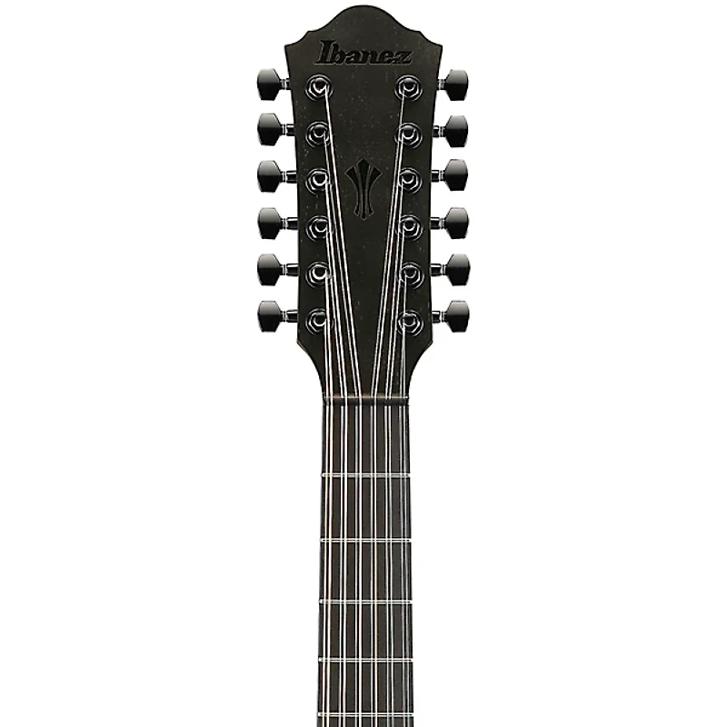 Ibanez AEG1221 Auditorium 12-String Acoustic-Electric Guitar - Black Out