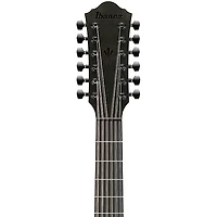 Ibanez AEG1221 Auditorium 12-String Acoustic-Electric Guitar - Black Out