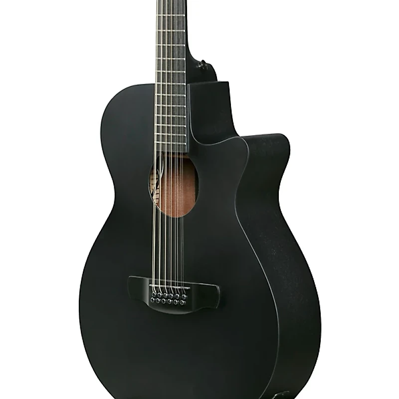 Ibanez AEG1221 Auditorium 12-String Acoustic-Electric Guitar - Black Out