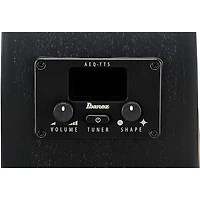 Ibanez AEG1221 Auditorium 12-String Acoustic-Electric Guitar - Black Out