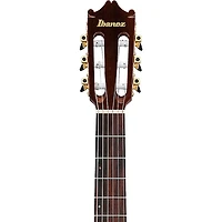 Ibanez GA35TCE Nylon-String Acoustic-Electric Guitar -