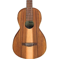Ibanez PN2WS Parlor Acoustic Guitar - Open Pore Brown