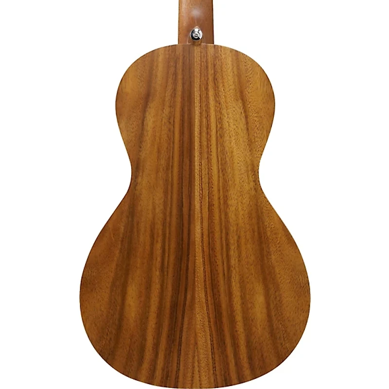 Ibanez PN2WS Parlor Acoustic Guitar - Open Pore Brown