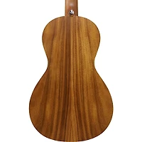Ibanez PN2WS Parlor Acoustic Guitar - Open Pore Brown