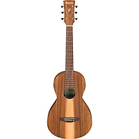 Ibanez PN2WS Parlor Acoustic Guitar - Open Pore Brown