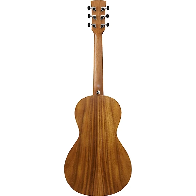 Ibanez PN2WS Parlor Acoustic Guitar - Open Pore Brown