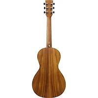Ibanez PN2WS Parlor Acoustic Guitar - Open Pore Brown