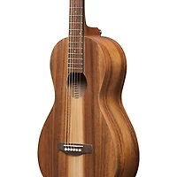 Ibanez PN2WS Parlor Acoustic Guitar - Open Pore Brown