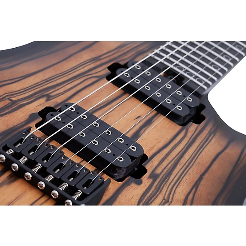 Schecter Guitar Research C-1 Pale Moon Electric Guitar - Natural Satin with Black Burst