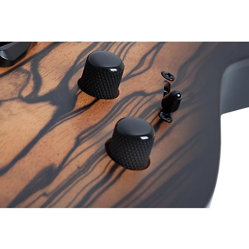 Schecter Guitar Research C-1 Pale Moon Electric Guitar - Natural Satin with Black Burst