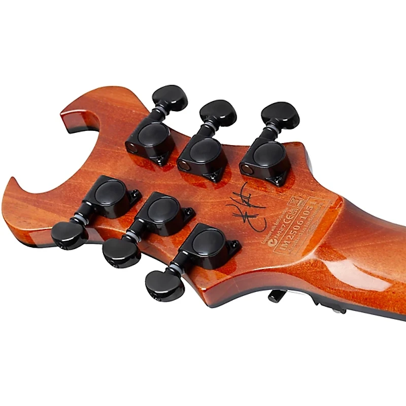 Schecter Guitar Research Synyster Gates Standard Plus Electric Guitar -