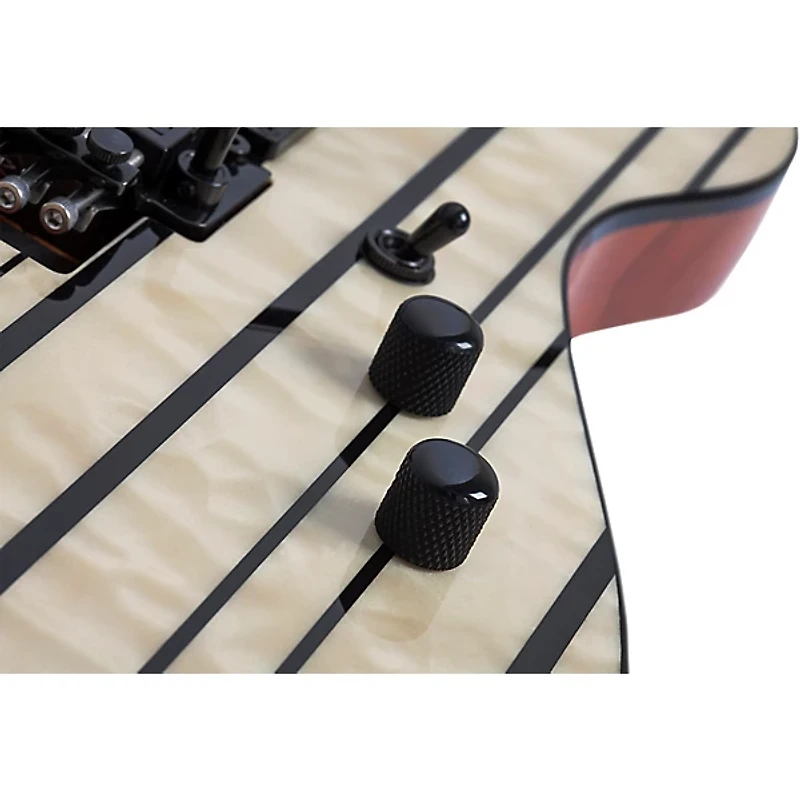 Schecter Guitar Research Synyster Gates Standard Plus Electric Guitar -