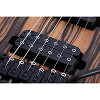 Schecter Guitar Research C-1 FR-S Pale Moon Electric Guitar - Natural Satin with Black Burst