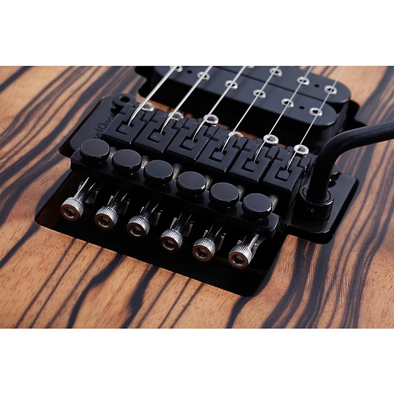 Schecter Guitar Research C-1 FR-S Pale Moon Electric Guitar - Natural Satin with Black Burst