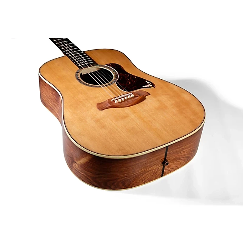 Taylor Gold Label 810e Acoustic-Electric Guitar - Natural