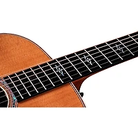 Taylor Gold Label 810e Acoustic-Electric Guitar - Natural