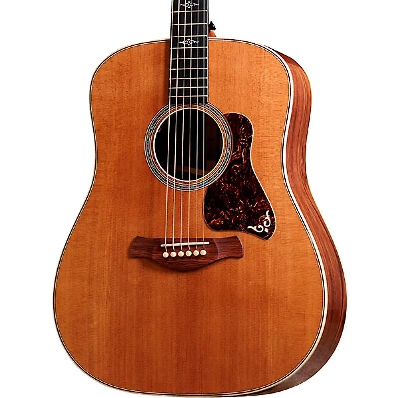 Taylor Gold Label 810e Acoustic-Electric Guitar - Natural