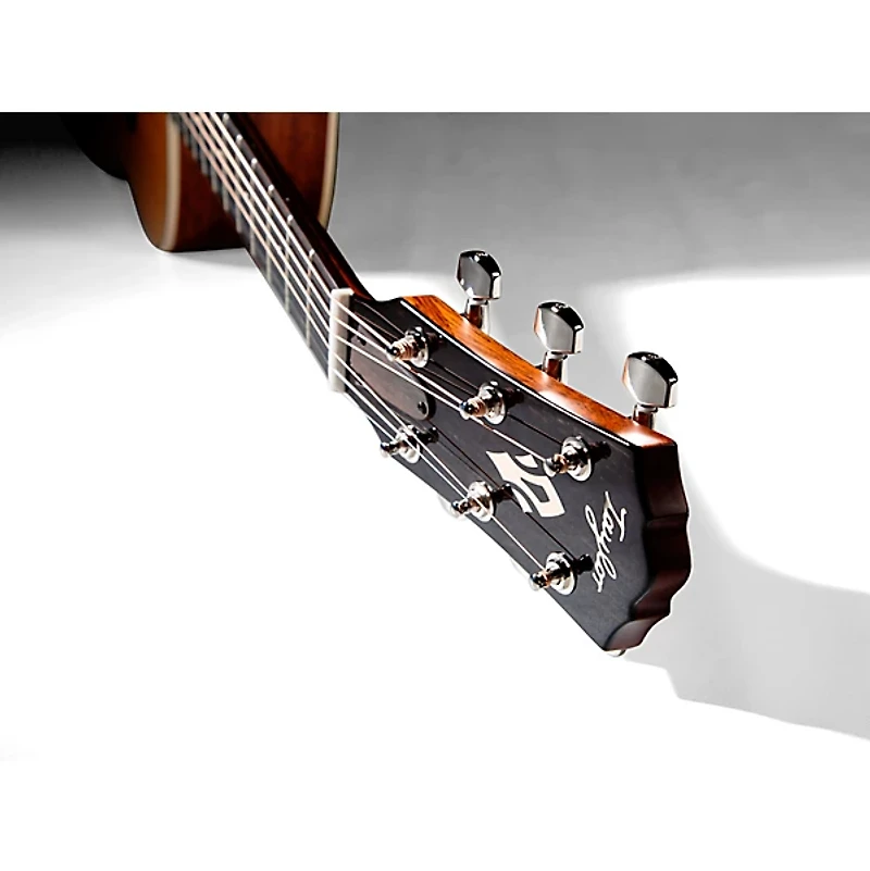 Taylor Gold Label 510e Acoustic-Electric Guitar - Natural