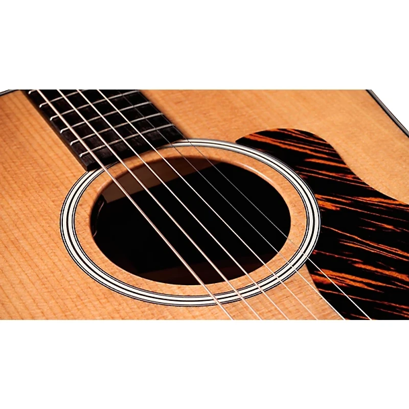 Taylor Gold Label 510e Acoustic-Electric Guitar - Natural