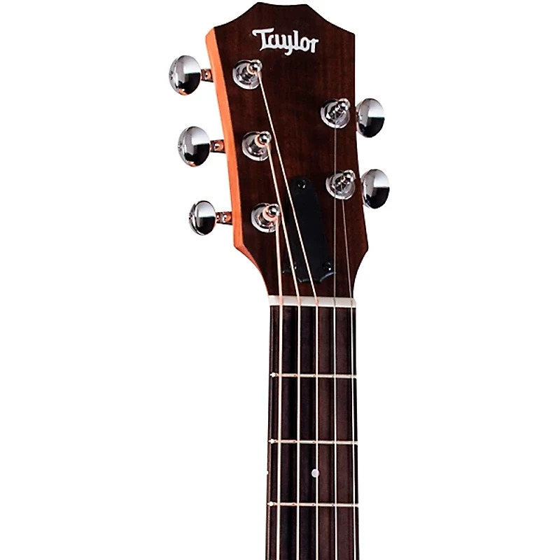 Taylor Jacob Collier GS Mini 5-String Acoustic Guitar - Custom Logo