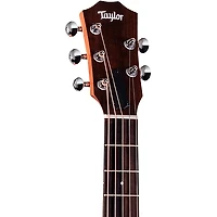 Taylor Jacob Collier GS Mini 5-String Acoustic Guitar - Custom Logo