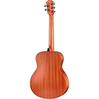 Taylor Jacob Collier GS Mini 5-String Acoustic Guitar - Custom Logo