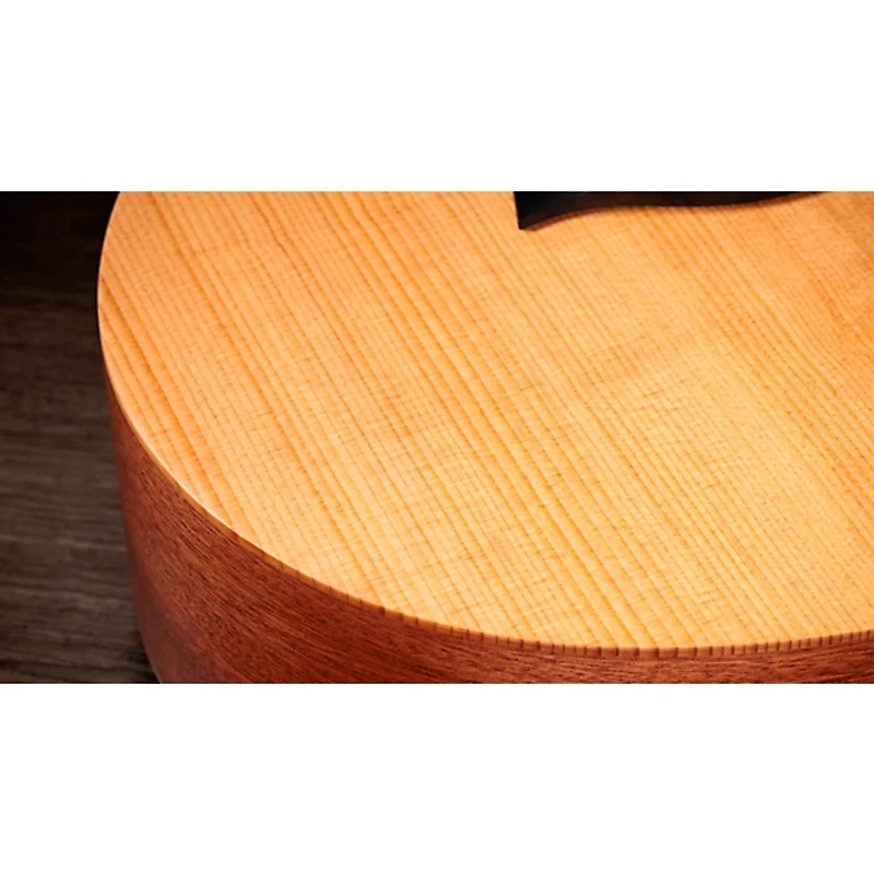 Taylor Jacob Collier GS Mini 5-String Acoustic Guitar - Custom Logo