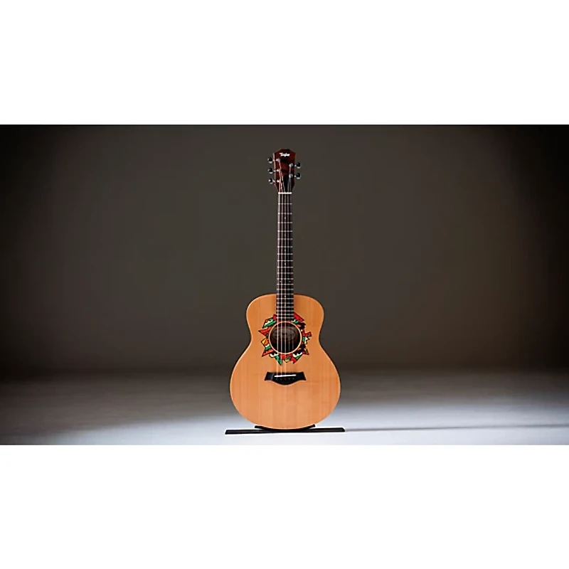 Taylor Jacob Collier GS Mini 5-String Acoustic Guitar - Custom Logo