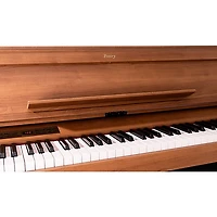 KORG Poetry Magnifique 88-Key Digital Piano - Brown