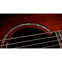 Taylor 914ce Builder's Edition Grand Auditorium Acoustic-Electric Guitar - Shaded Edge Burst