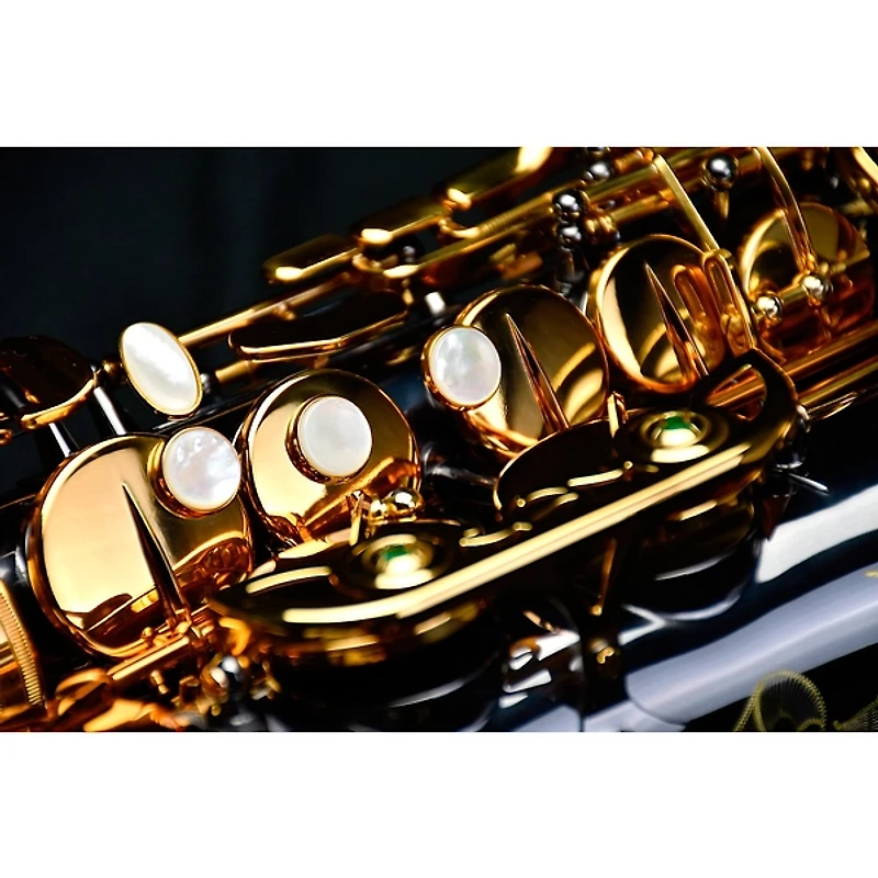P. Mauriat P. Mauriat Professional Alto Saxophone Black Nickel Gold Lacquer Keys