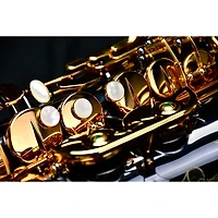 P. Mauriat P. Mauriat Professional Alto Saxophone Black Nickel Gold Lacquer Keys