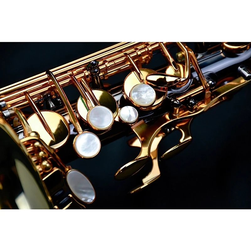 P. Mauriat P. Mauriat Professional Alto Saxophone Black Nickel Gold Lacquer Keys