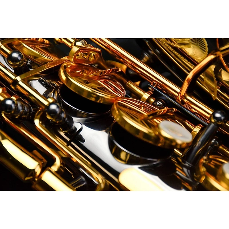 P. Mauriat P. Mauriat Professional Alto Saxophone Black Nickel Gold Lacquer Keys