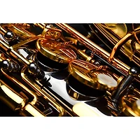 P. Mauriat P. Mauriat Professional Alto Saxophone Black Nickel Gold Lacquer Keys